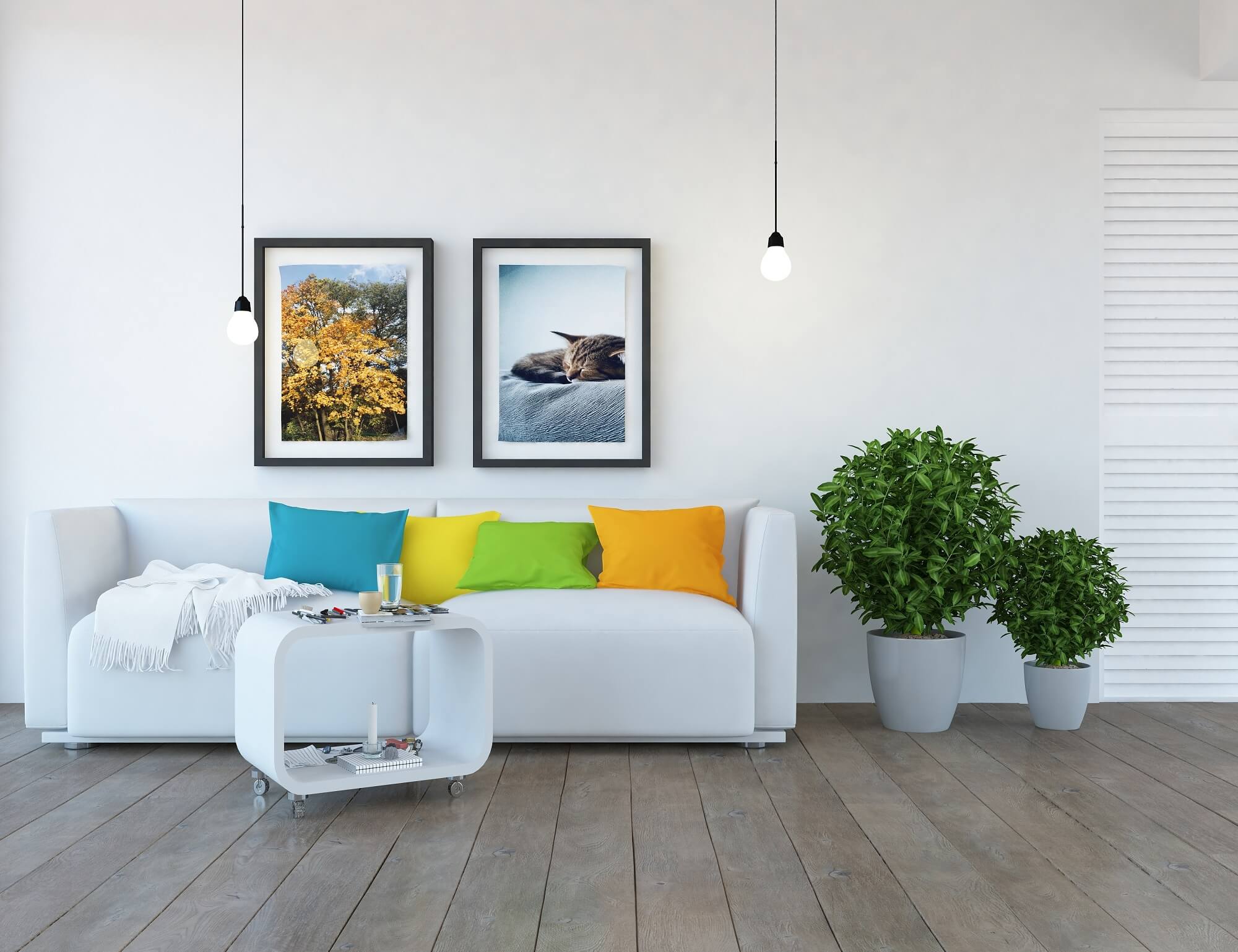 How it works Freesnaps